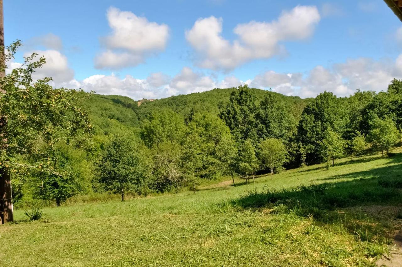 Ancienne Sechoir A Tabac Idealement Place A Limeuil Pour 4 Dans La Nature Luaran gambar